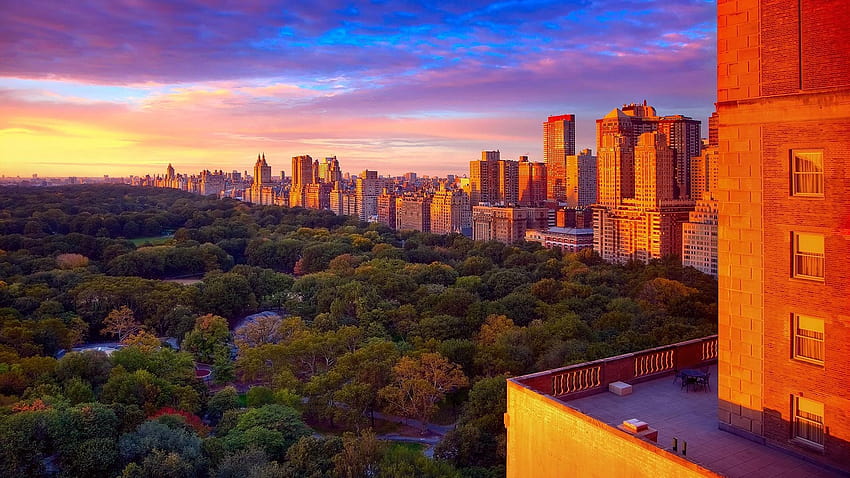 New York Central Park, central park new york HD wallpaper | Pxfuel