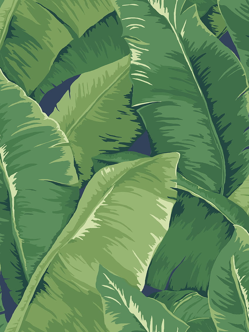 Bananenblätter, Palmblätter HD-Handy-Hintergrundbild