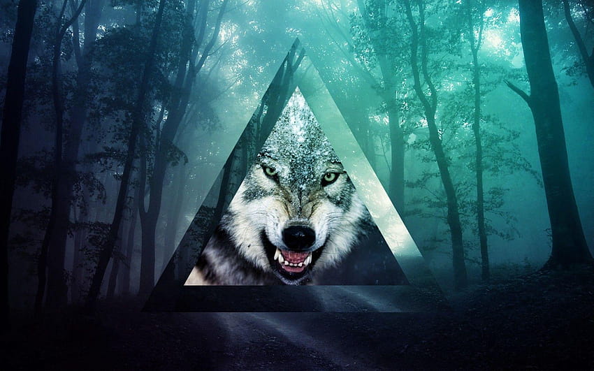 Tumblr Lobo, de lobo fondo de pantalla | Pxfuel