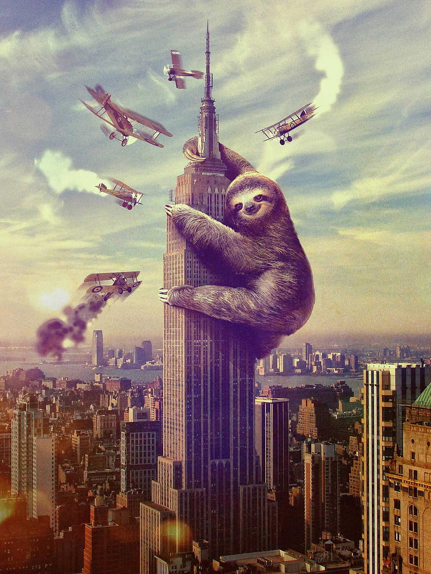 Póster Sloth King Kong 1536x2048, kingkong y panda fondo de pantalla del teléfono