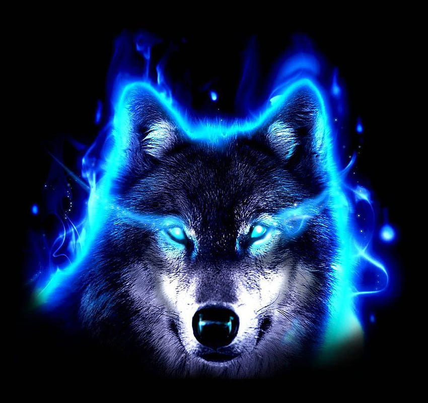 Neon Wolf Backgrounds 3d neon blue wolf HD wallpaper  Pxfuel