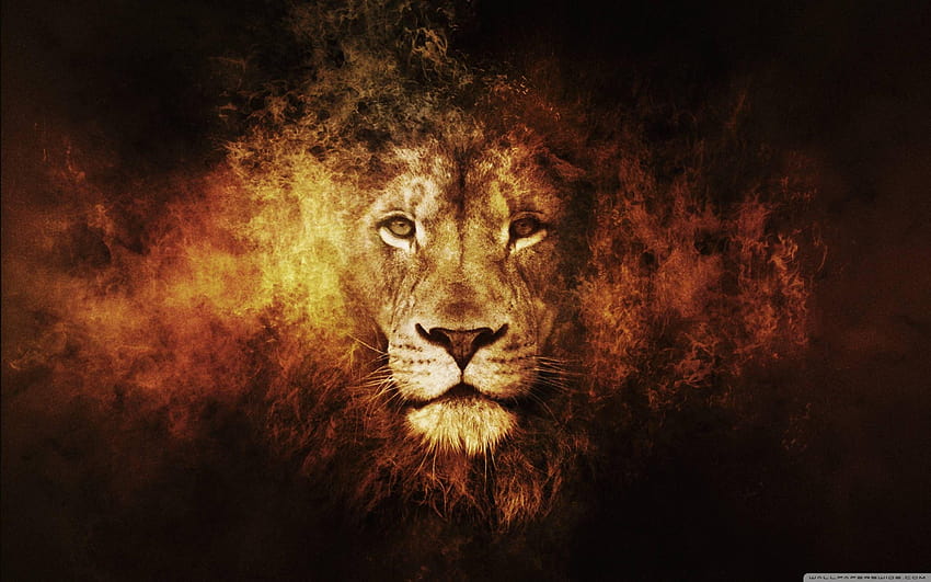 judah the lion HD wallpaper