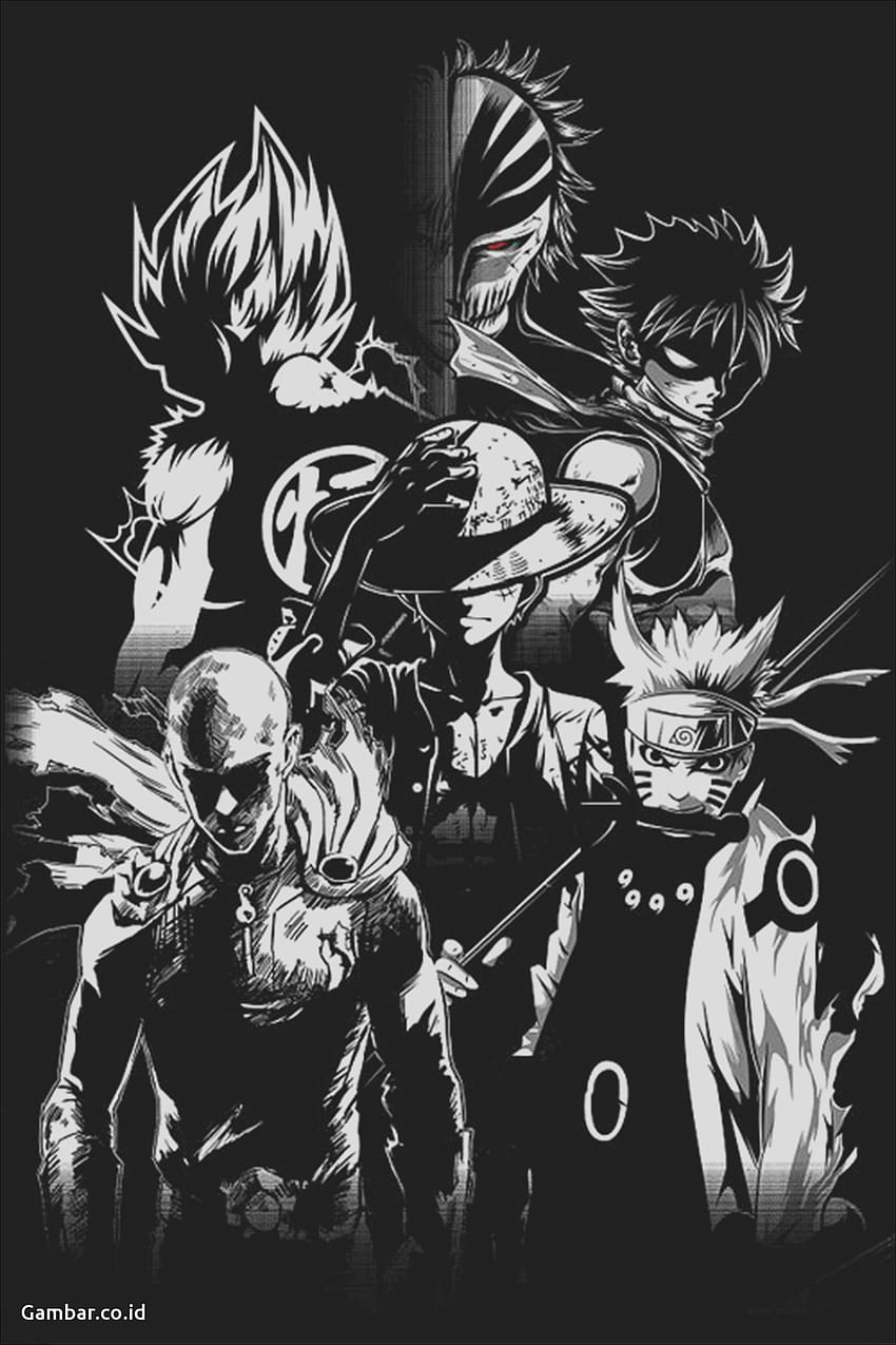 Black One Piece on Dog, one piece black and white HD phone wallpaper |  Pxfuel
