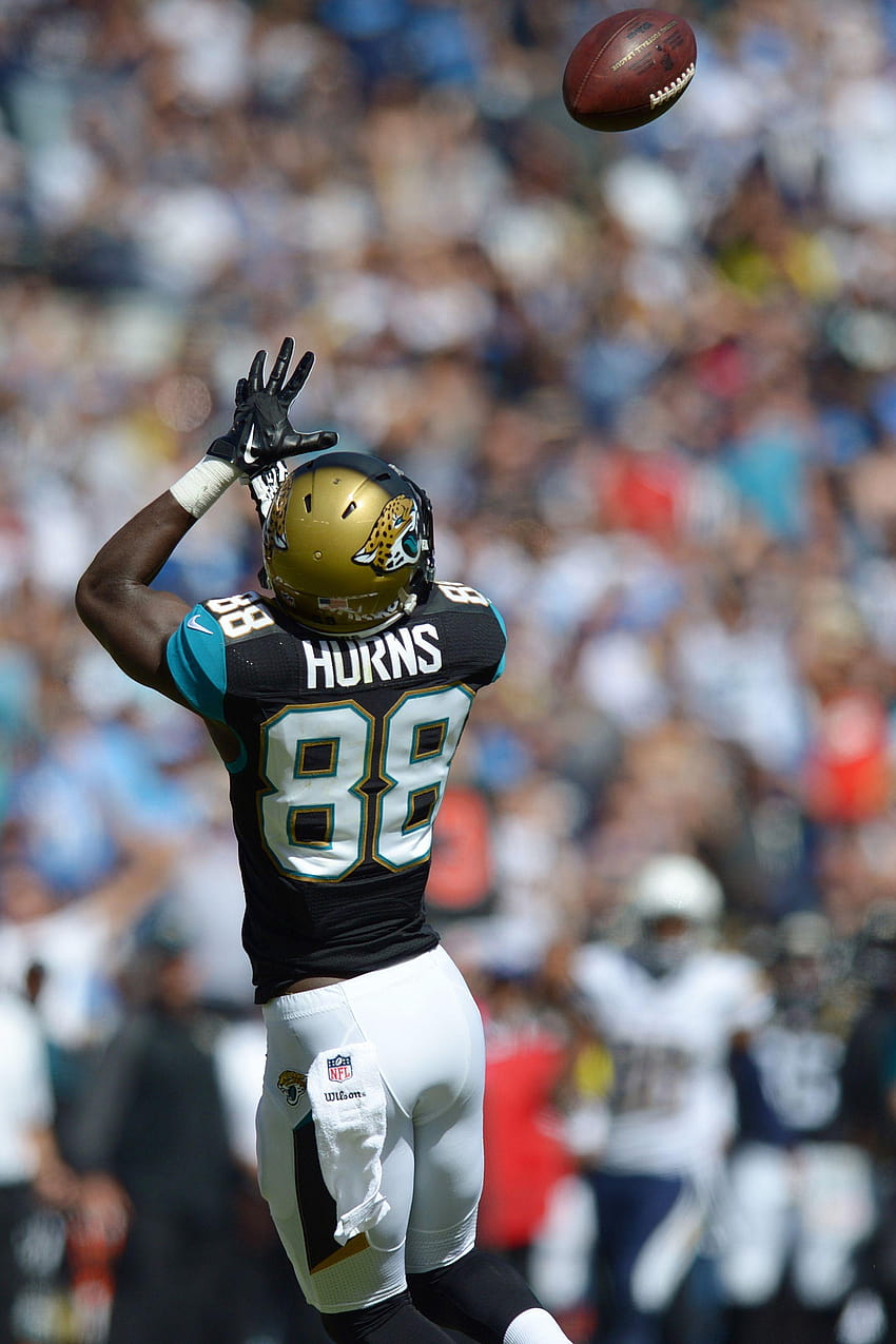 Allen Hurns puts up historic performance for Jacksonville Jaguars HD  wallpaper