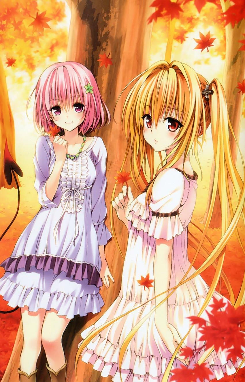 konjiki no yami and momo velia deviluke, konjiki no yami android HD phone wallpaper