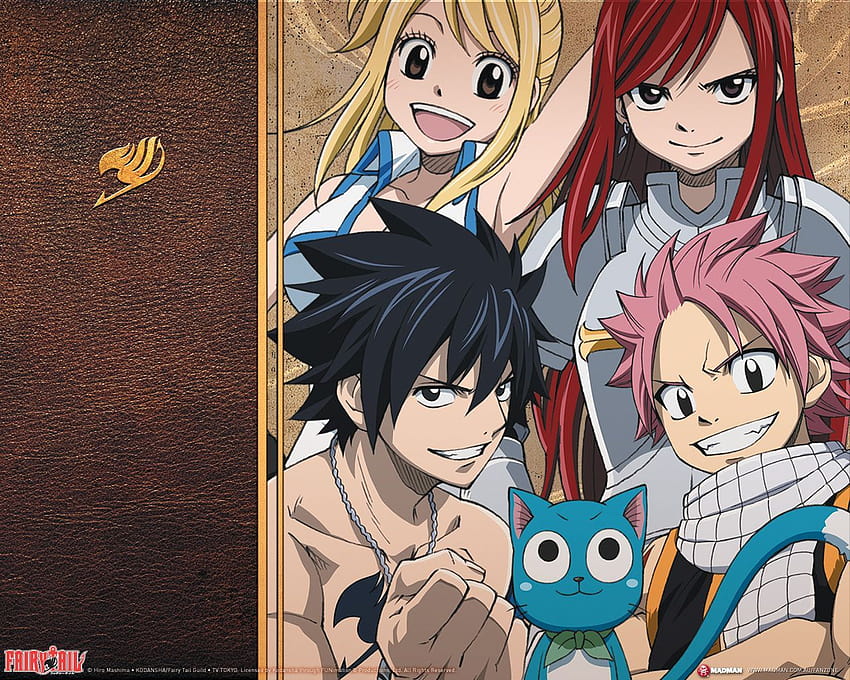 Fairy Tail Was Either Loved or Hated By Anime Fans  But Why