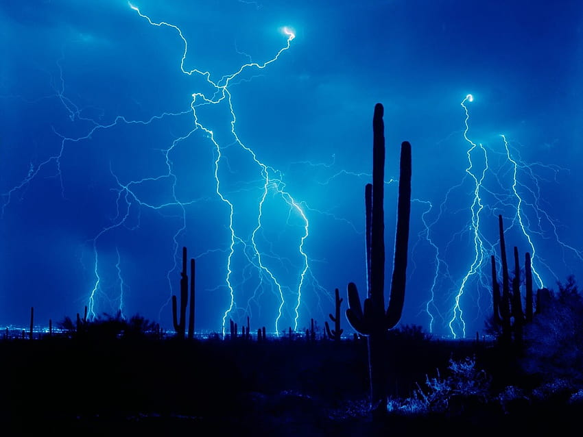 Relâmpagos Trovoadas Natureza em formato jpg, tempestade com raios céu de palma papel de parede HD