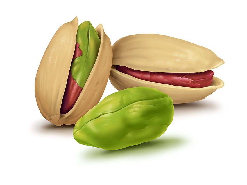 : pistachio, grafik, kacang, latar belakang putih 4800x3600 Wallpaper HD