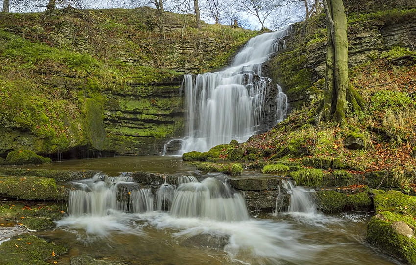 autumn, England, waterfall, cascade, England, scaleber force waterfall HD wallpaper