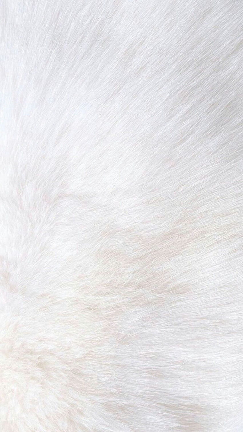 Fur, fluffy HD phone wallpaper