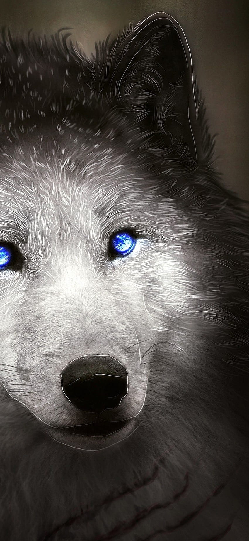 1125x2436 Wolf, Blue Eyes, Majestic, Digital Art, wolf smartphone eye HD phone wallpaper