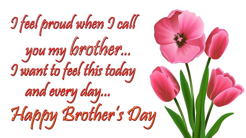 Happy brother day HD wallpapers  Pxfuel