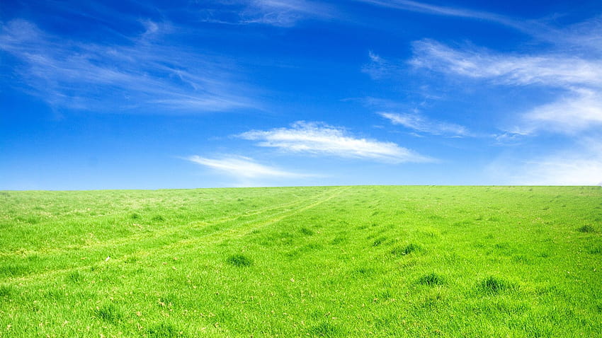 Himmel und Gras, Grasboden HD-Hintergrundbild