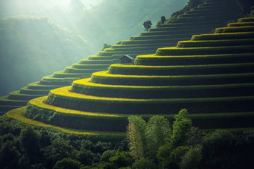 4 Rice Terrace and Backgrounds, rice terraces HD wallpaper