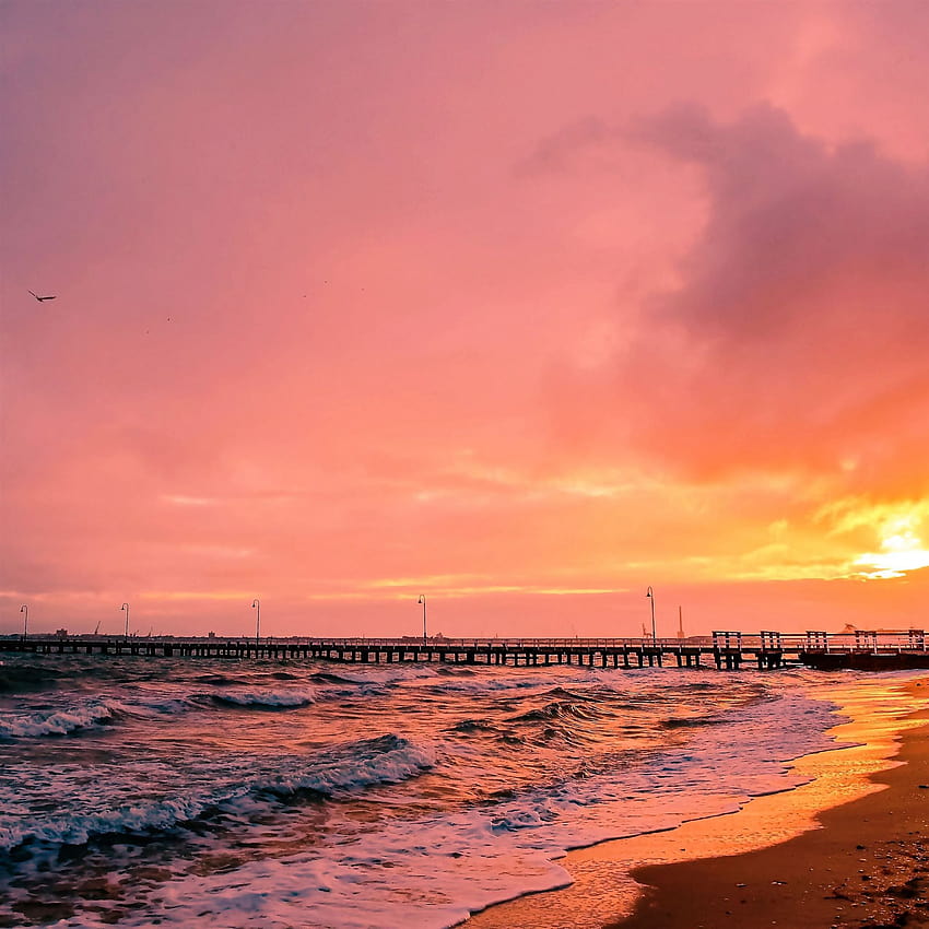 夕日の海の太陽の風景iPad Pro、地平線のピンクの夕日の海 HD電話の壁紙