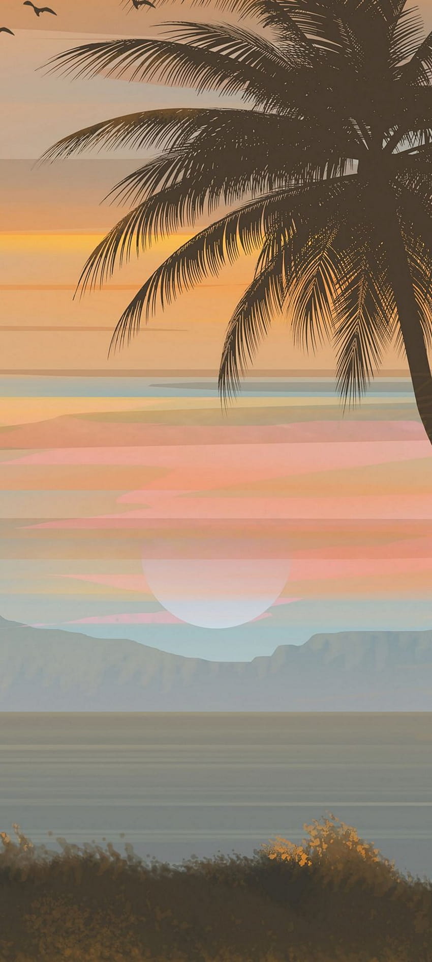 Vector Palm Tree Sky Backgrounds 720x1600 HD phone wallpaper