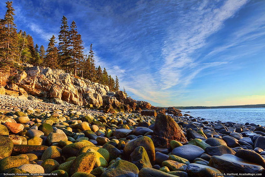 Acadia National Park at Schoodic Peninsula HD wallpaper