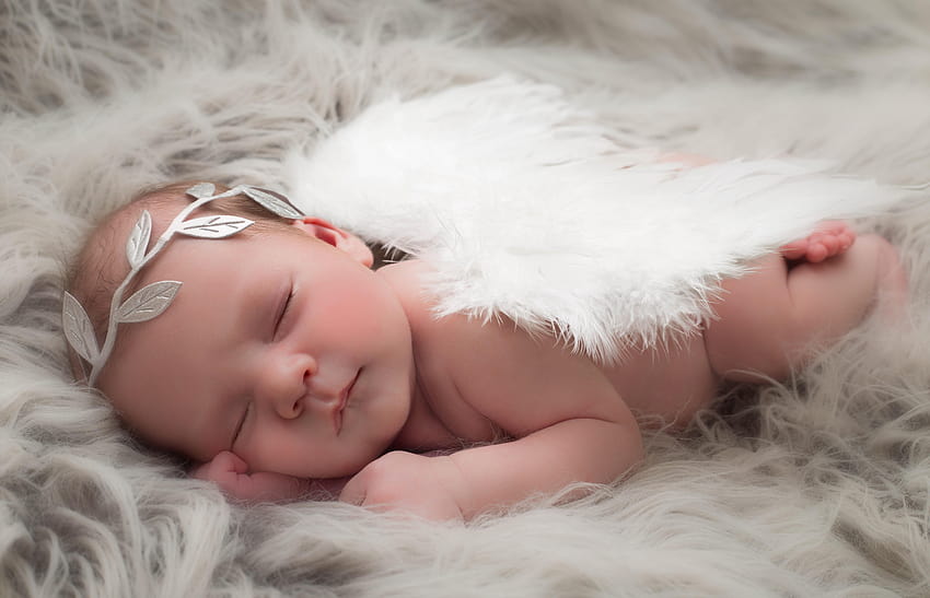 Infants Children Sleep Angels 5760x3708, baby angels HD wallpaper