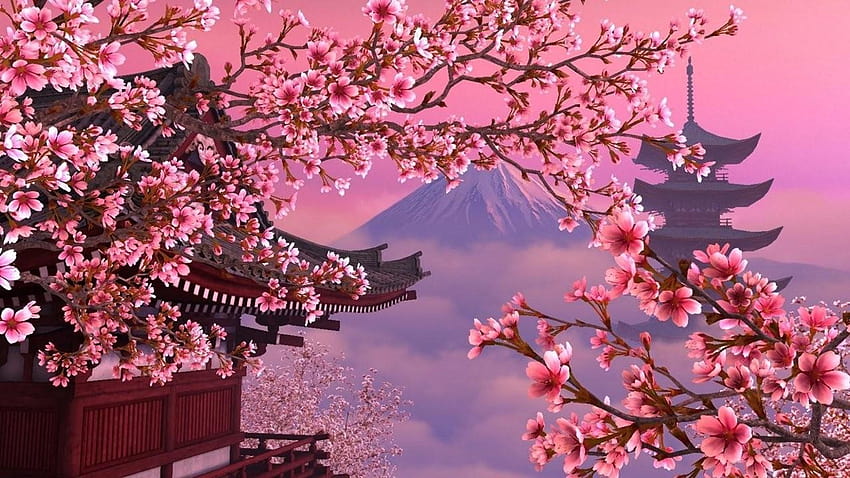 Japon Kiraz Çiçeği 29 Genchi Boyunca, kiraz ağaçları HD duvar kağıdı