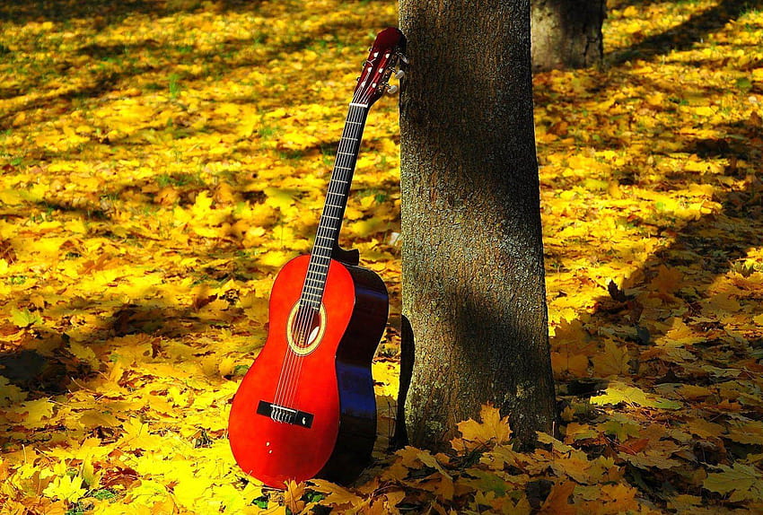 Find out: Classic Red Guitar on http://picorner, guitar classic HD wallpaper