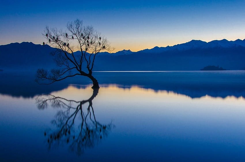 nature, Paysage, Calme, Bleu, Eau, Arbres, Lac, Réflexion, lake in new zealand Fond d'écran HD