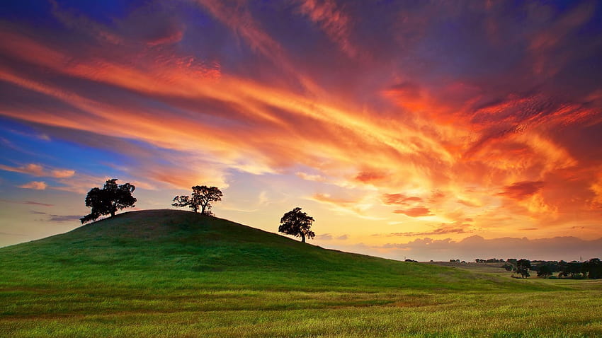 Full sunset field hill amazing, Backgrounds, amazing field sunset HD wallpaper