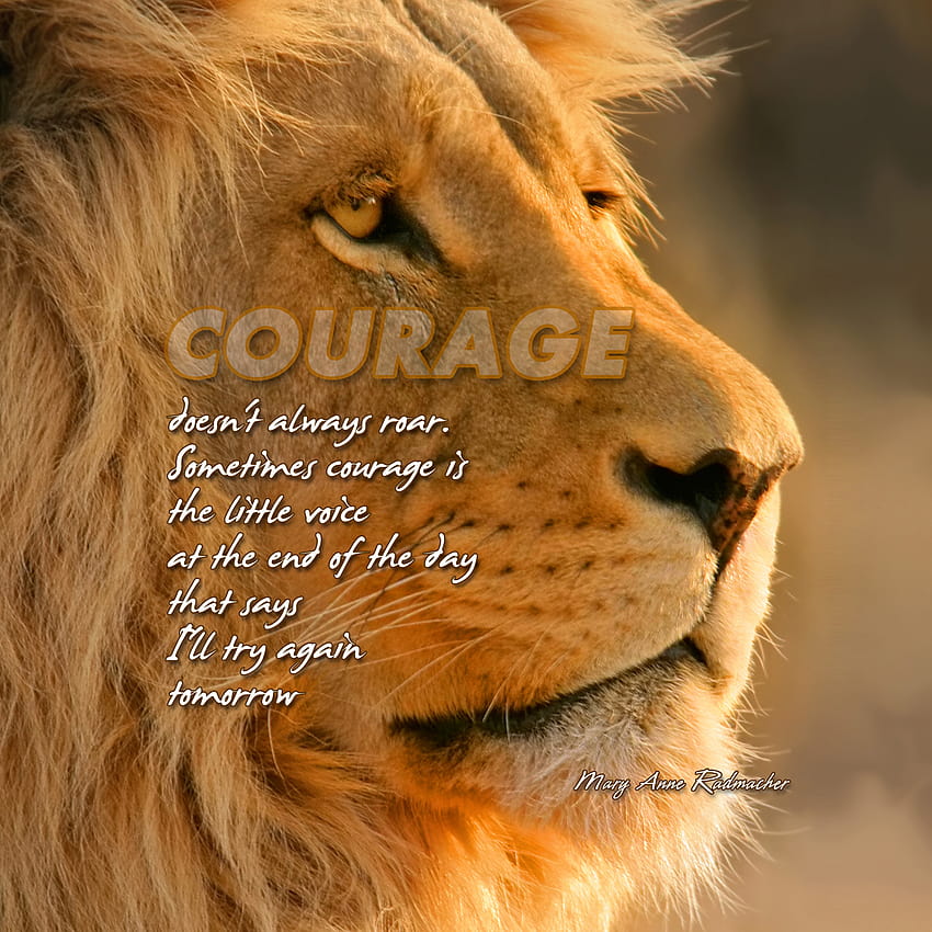 Цитати за лъвска храброст. QuotesGram, смели цитати HD тапет за телефон