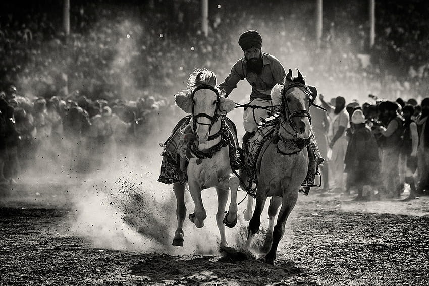 Wojownik sikhijski z Nihang pokazuje swoje umiejętności jeździeckie podczas Tapeta HD