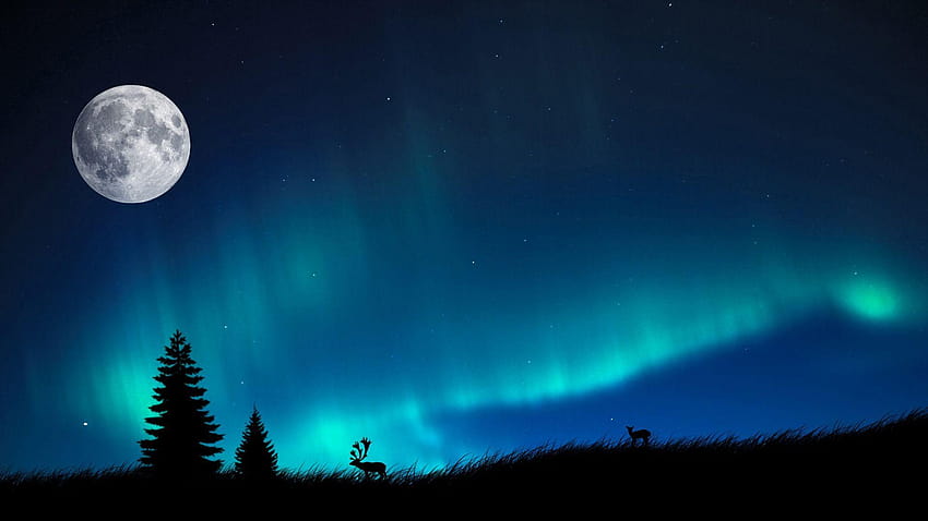 Real Northern Lights graphy , Backgrounds HD wallpaper