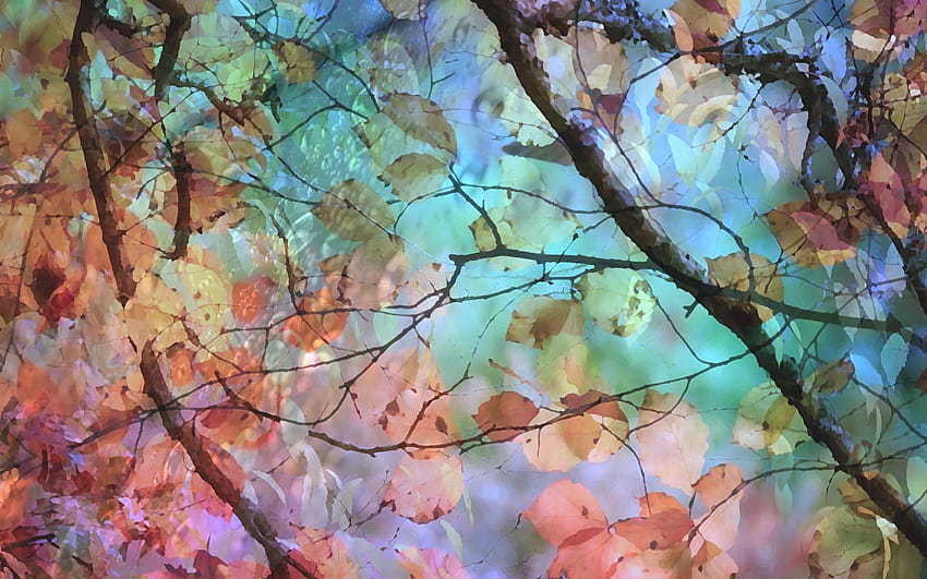Akwarela, drzewo, liście, jesień 2880x1800, jesienna akwarela Tapeta HD