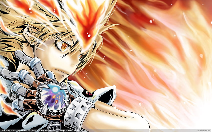 Katekyo Hitman Reborn Anime Flame, tsuna HD wallpaper | Pxfuel