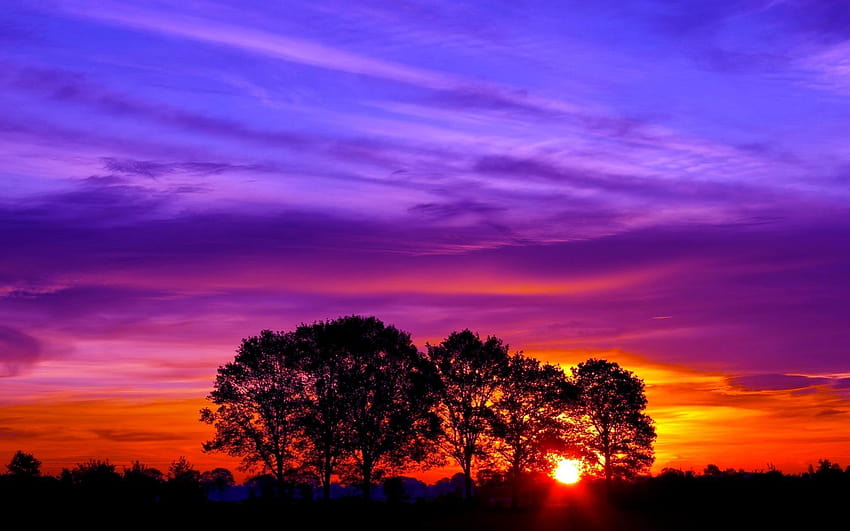 6 Pretty Sunset Aesthetic Sunset Hd Wallpaper Pxfuel 8259