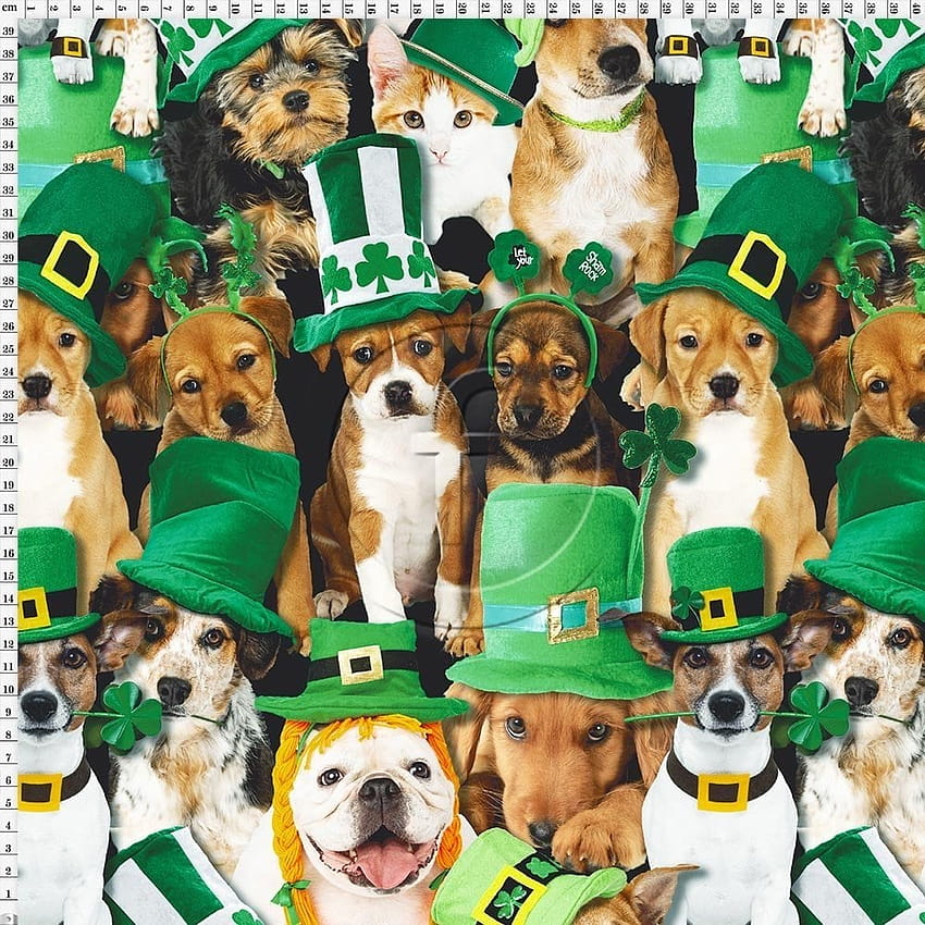 Funki Fabrics St Patricks Day Dog Ireland Digitally Printed Stretch Fabric HD phone wallpaper