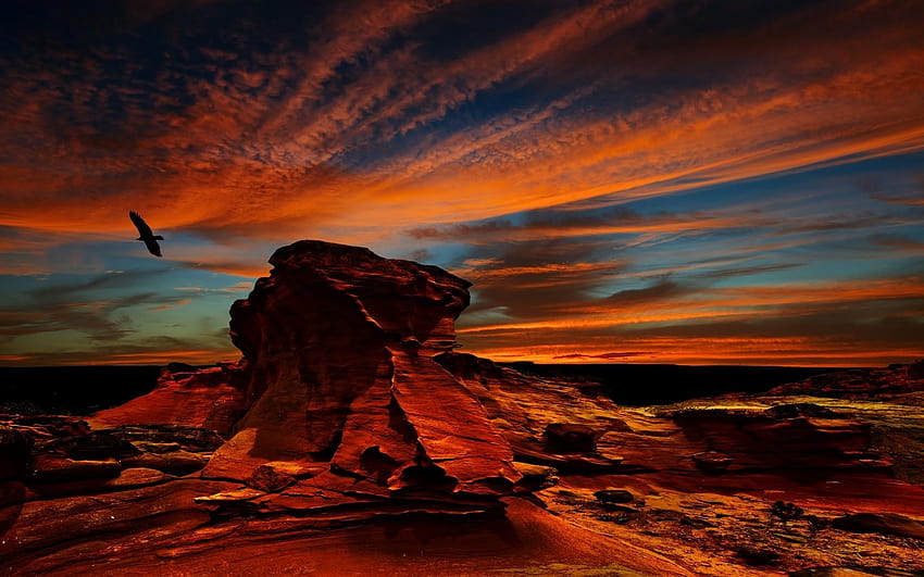 desert, Atacama Desert, Sunset, Rock, Erosion, Birds, Condors HD wallpaper