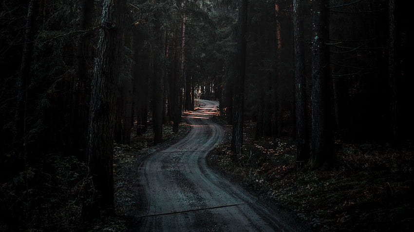 暗い森の道、黒い道 高画質の壁紙