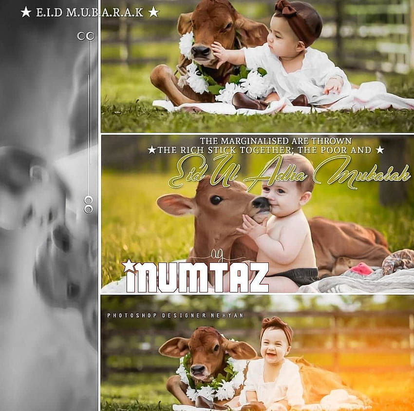 Eid Mubarak Girl Dp For Whatsapp With Name Mumtaz HD wallpaper