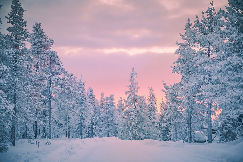 150 Best Winter & Snow Instagram Captions HD wallpaper