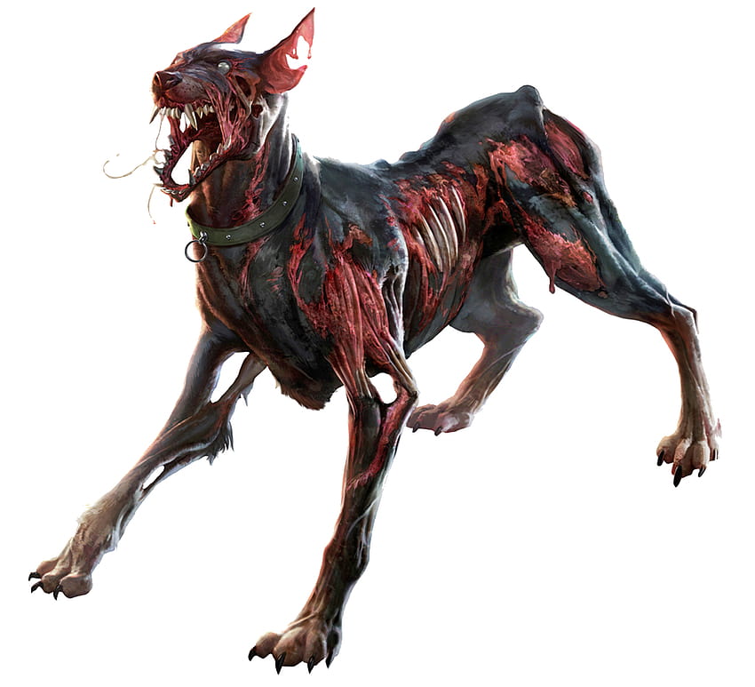 Vecteur Zombie Dog Transparent & PNG Clipart, chiens zombies Fond d'écran HD