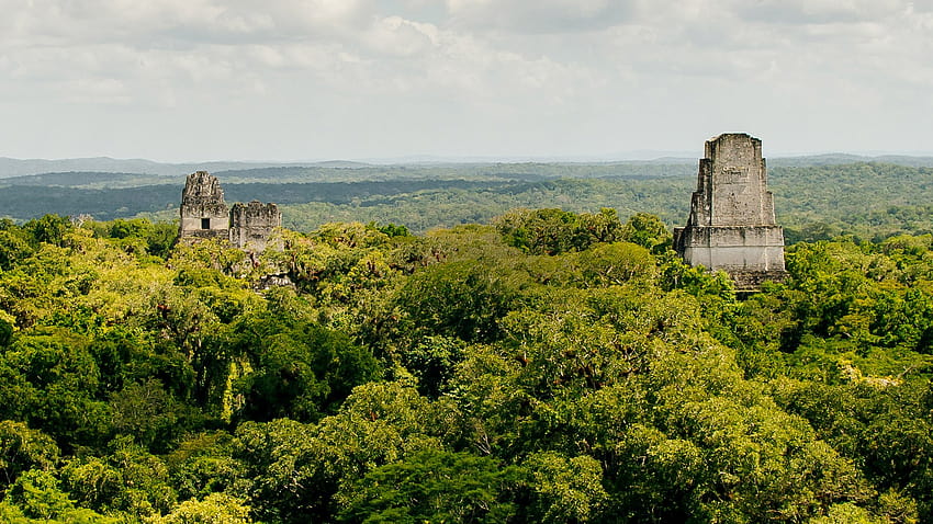 ซากปรักหักพังเมืองโบราณของอุทยานแห่งชาติ Tikal ในป่าฝน, El Petén, กัวเตมาลา, วัดกัวเตมาลา วอลล์เปเปอร์ HD