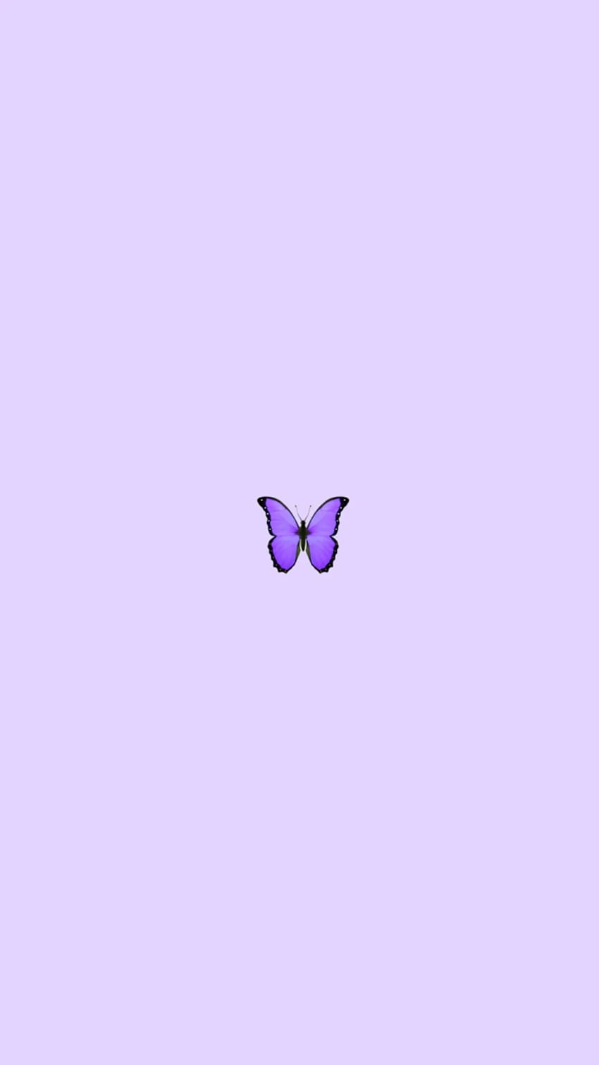 estética de mariposa morada fondo de pantalla del teléfono