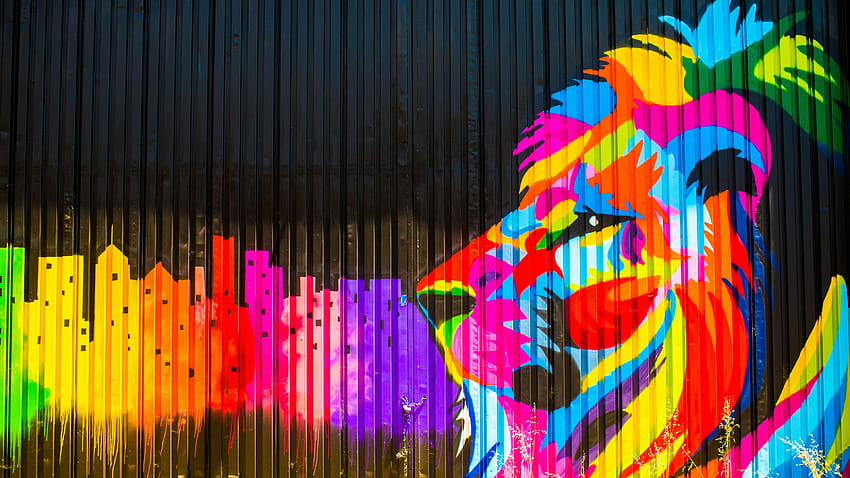 Lion Graffiti HD wallpaper