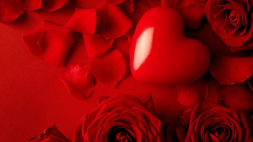 DD0000 Warna: Bunga Tulip Musim Semi Lucu Hijau Indah, hati mawar merah Wallpaper HD