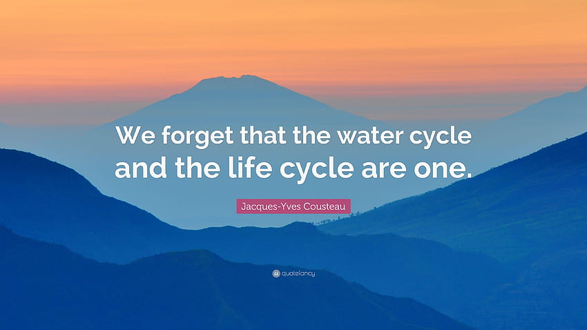 Jacques, water cycle HD wallpaper