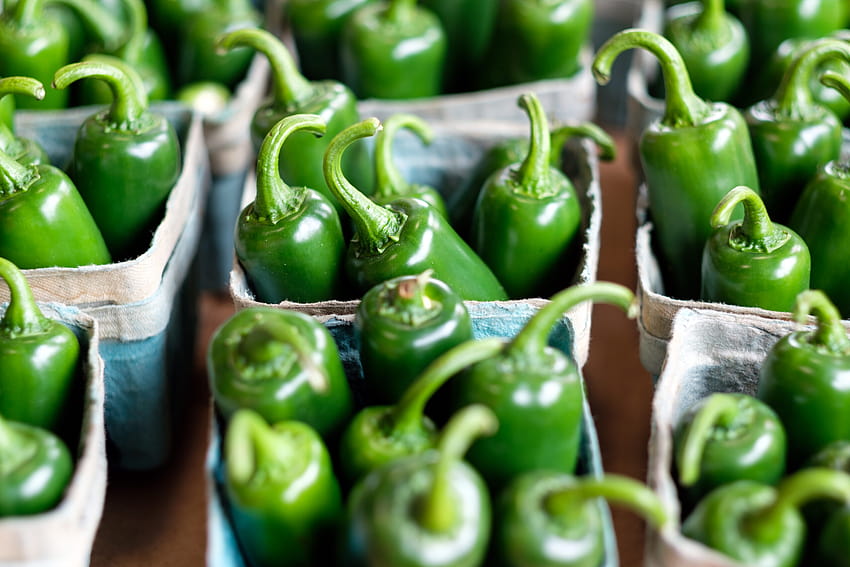Sementes de jalapeno: você pode cultivar jalapenos de pimentas compradas em lojas? papel de parede HD