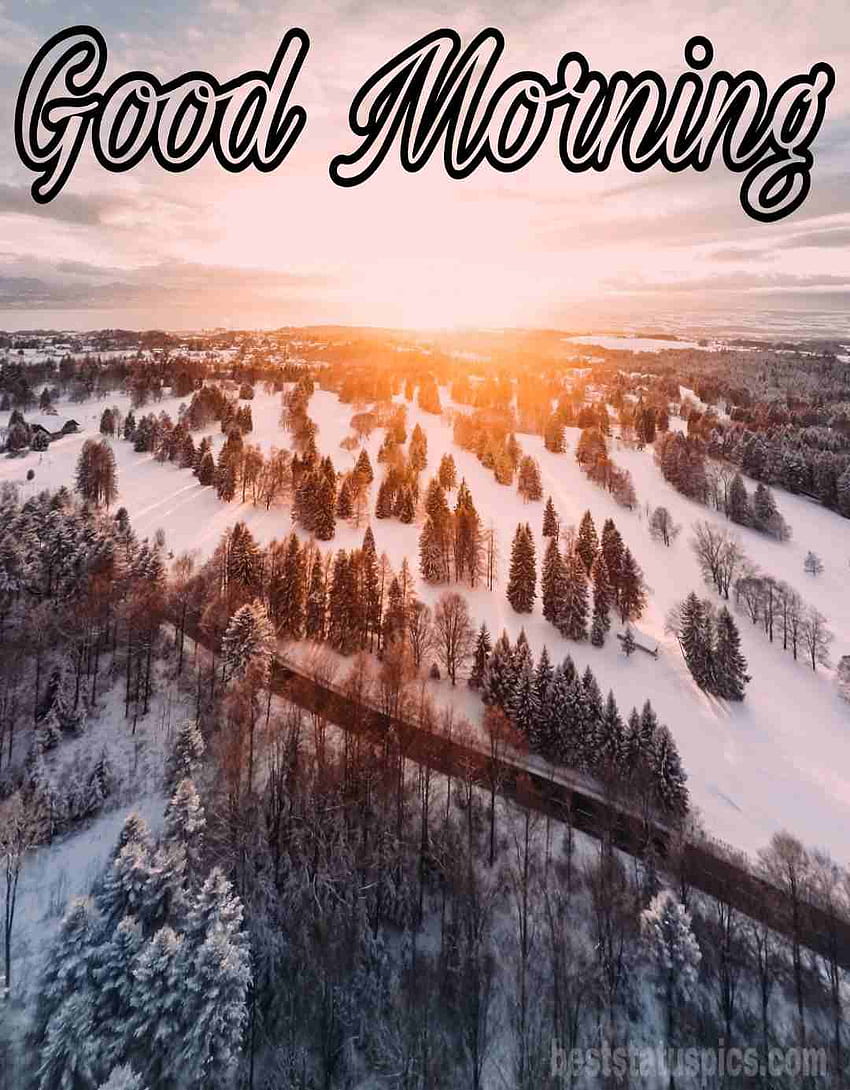 91 Beautiful Good Morning Nature Pics [2021], good morning in winter HD phone wallpaper