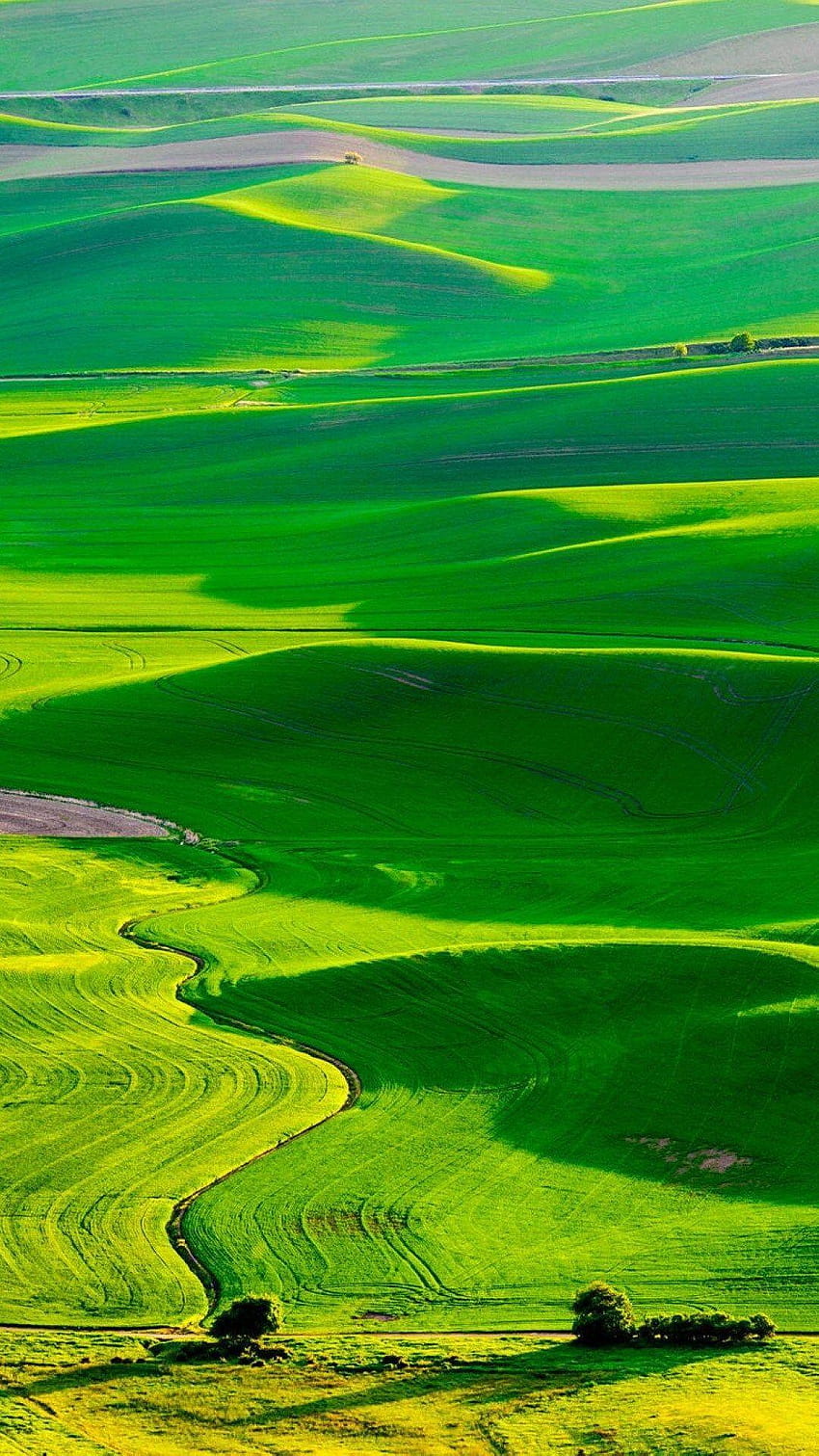 Natur Frische Grünland Landschaft, Wiesen HD-Handy-Hintergrundbild