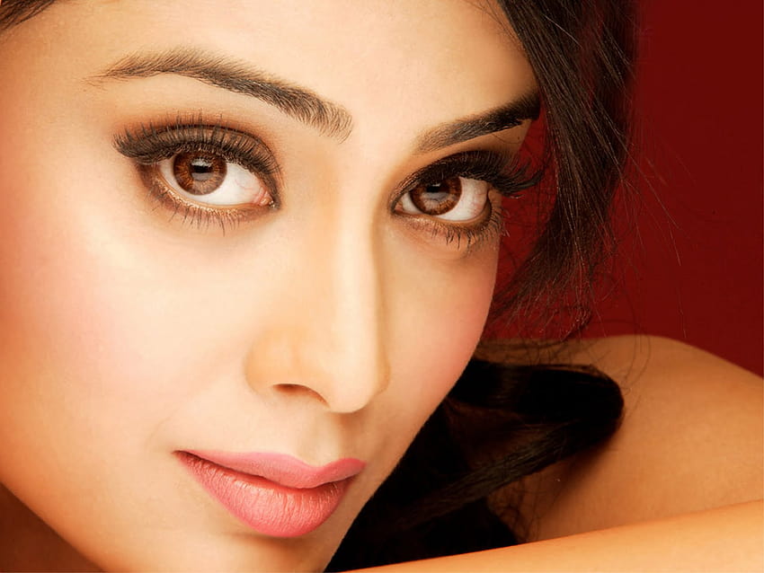 Shriya Saran Attrice di Bollywood Nuova attrice di Bollywood da vicino Sfondo HD