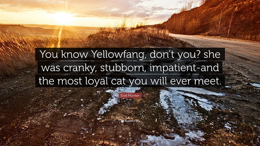 Erin Hunter Quote: “You know Yellowfang, don't you? she was cranky, stubborn, impatient HD wallpaper