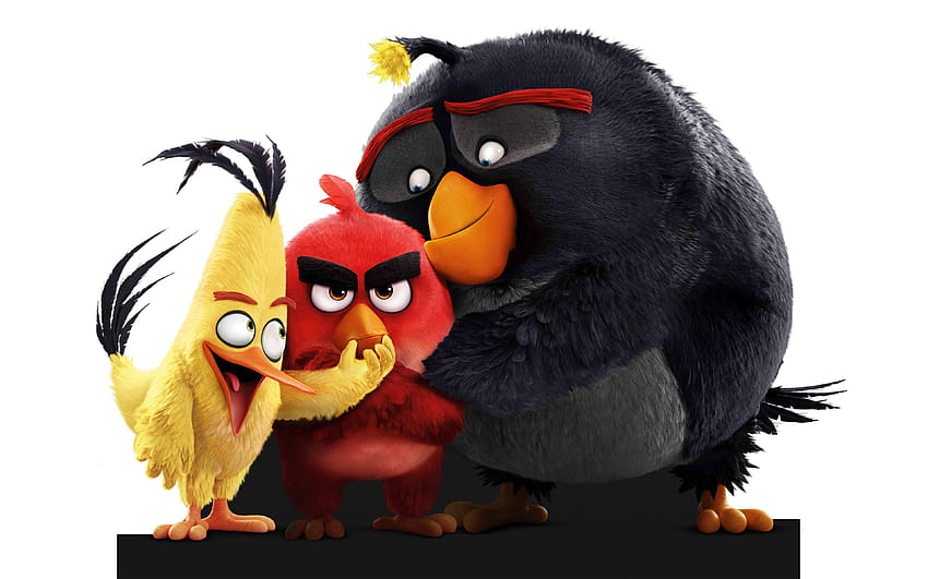 The Angry Birds Movie 2016 Animation Poster, angry birds movie red HD wallpaper
