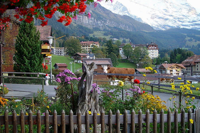 Wengen , a HD wallpaper | Pxfuel